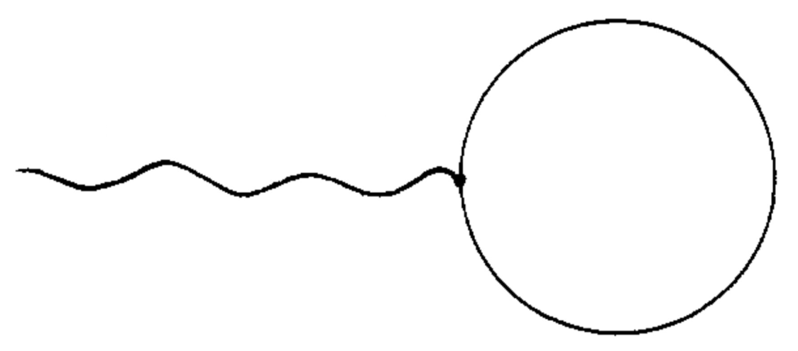 Tadpole